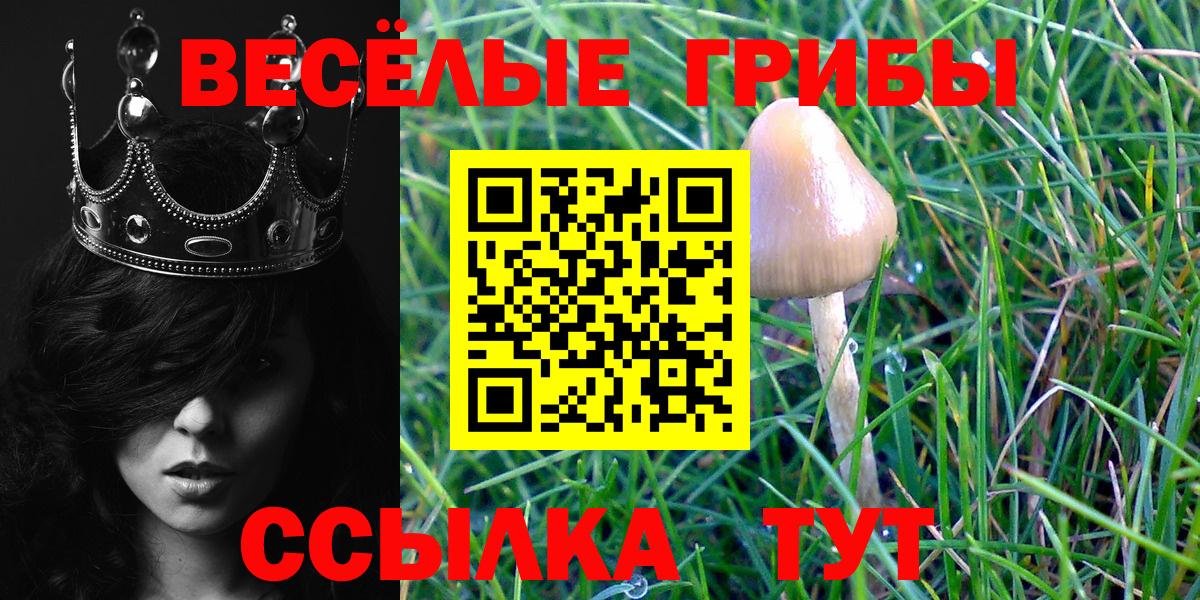 Псилоцибиновые грибы прущие грибы Лангепас